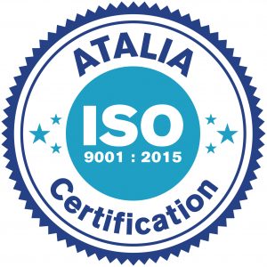 Logo Iso 9001